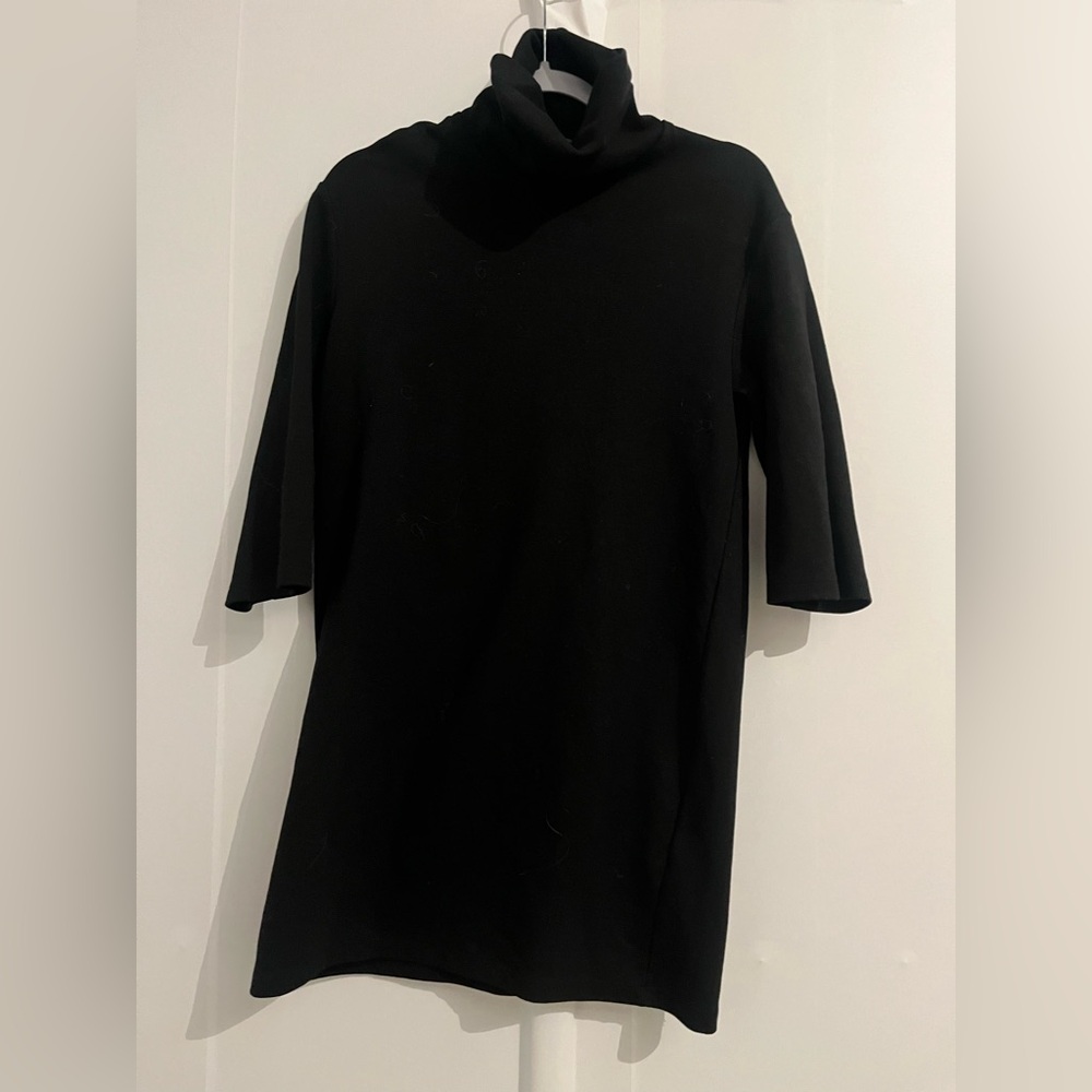 Zara Black Turtleneck Dress‎